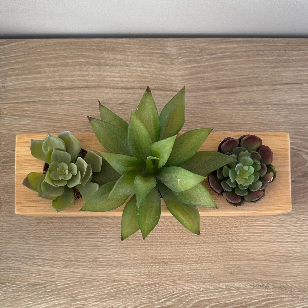 Target Project 62 Wooden Planter with Artificial Succulents